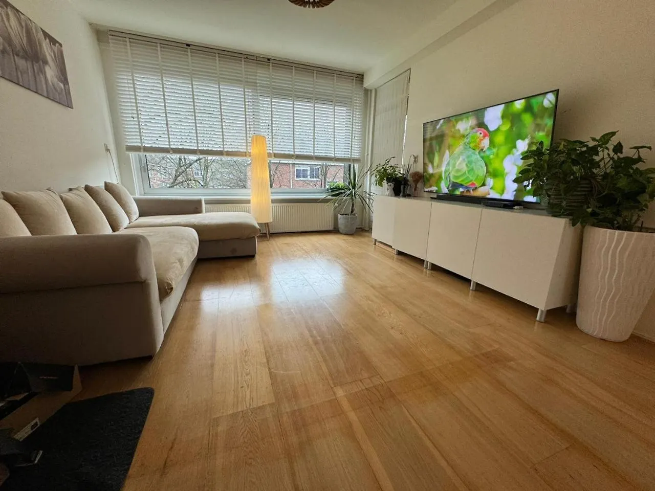 Entire Apartment In Amsterdam