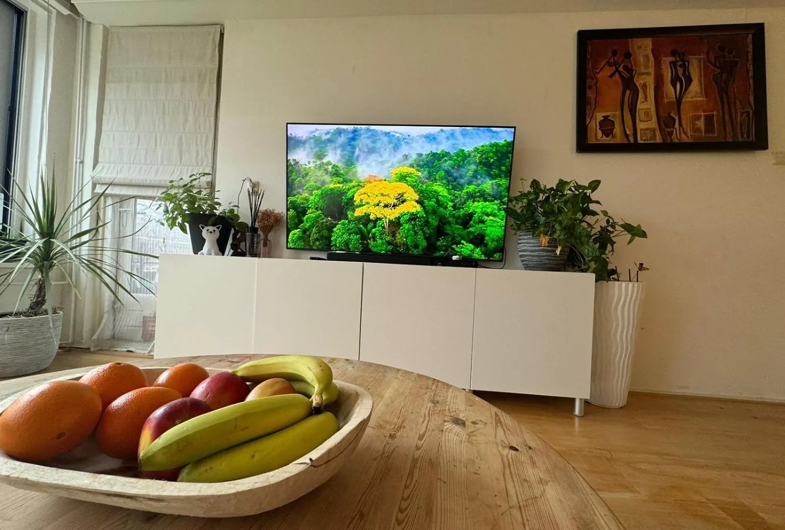 Entire Apartment In Amsterdam Netherlands