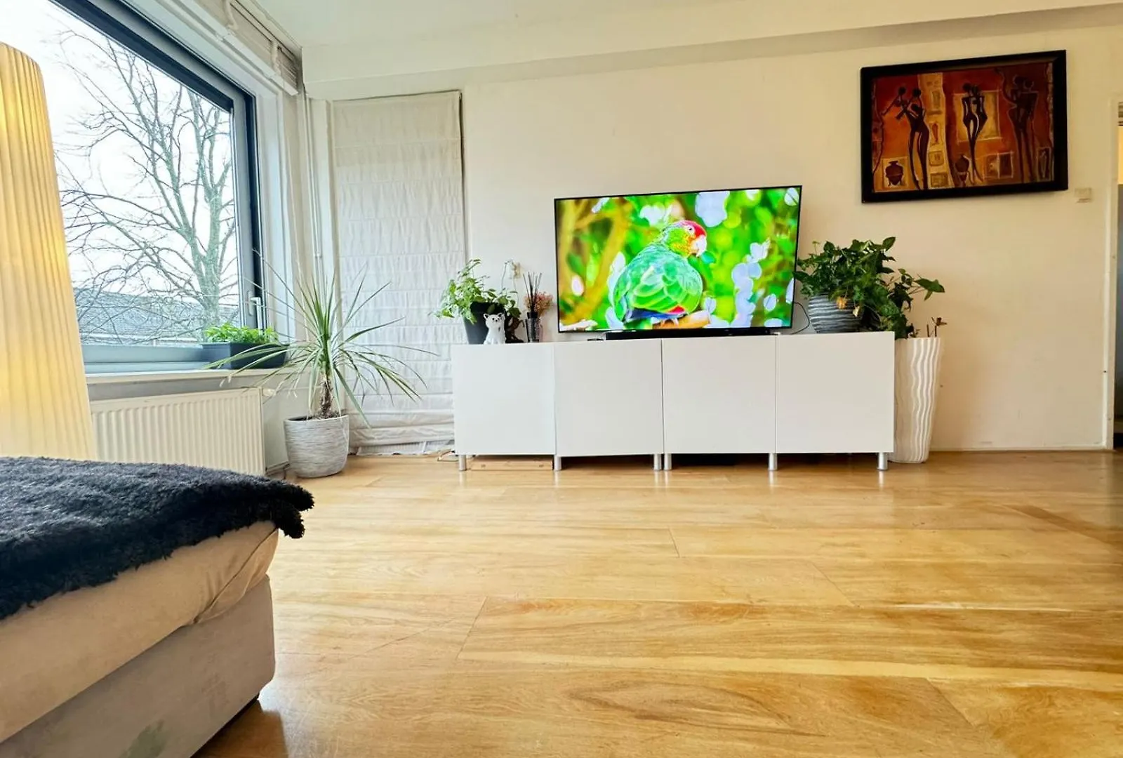 Entire Apartment In Amsterdam 0*,