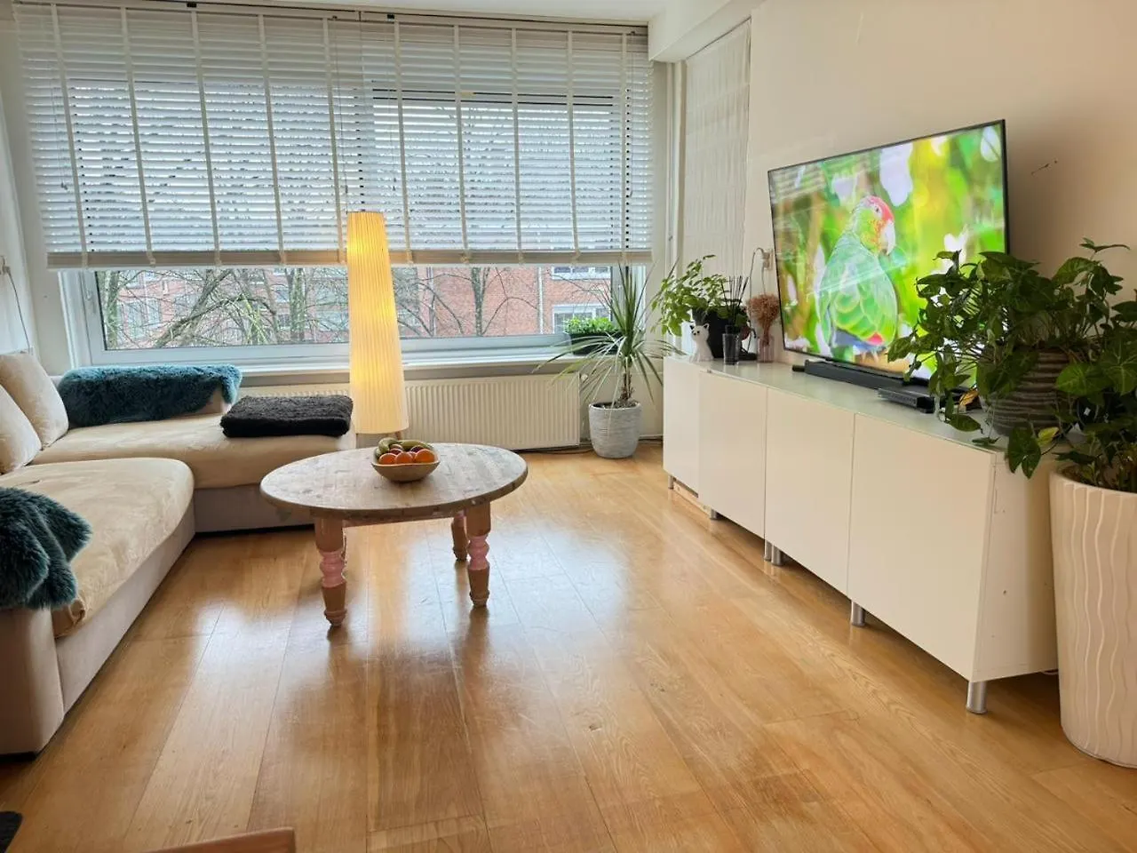 Entire Apartment In Amsterdam