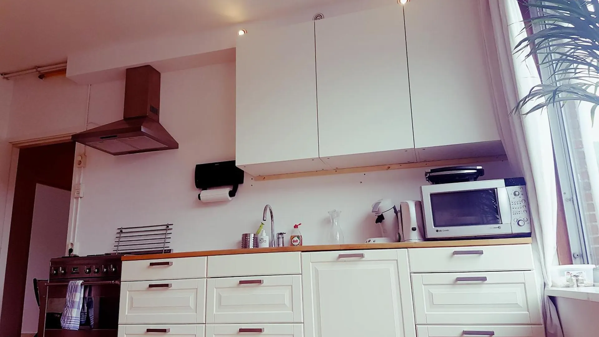 Entire Apartment In Amsterdam