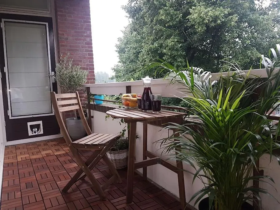 Entire Apartment In Amsterdam